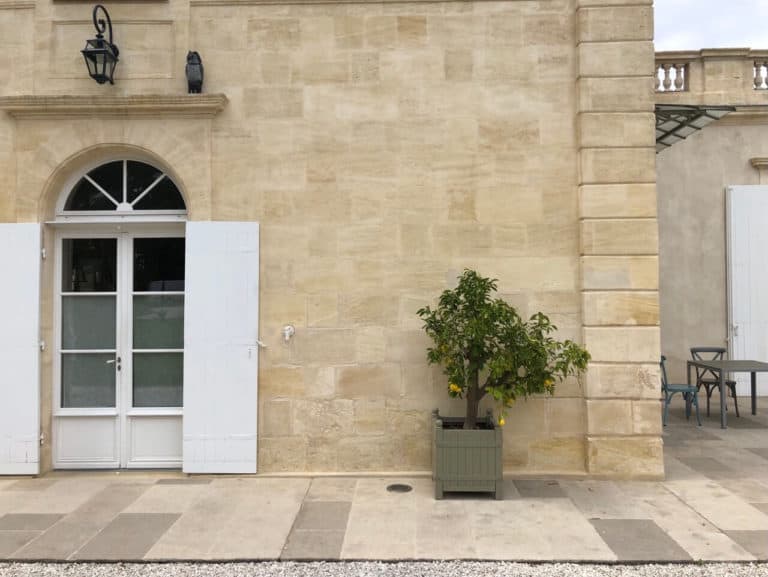 poésie d'un citronnier devant la façade d'une chartreuse girondine