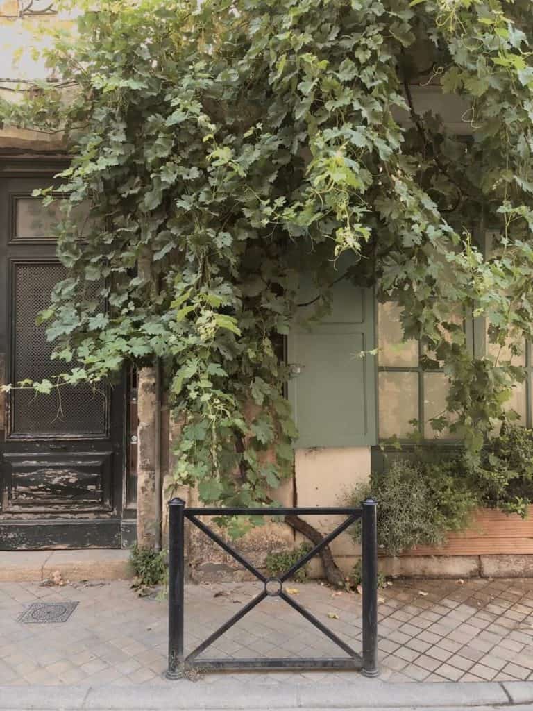 poésie d'un immeuble ancien découvert de vigne à Bordeaux