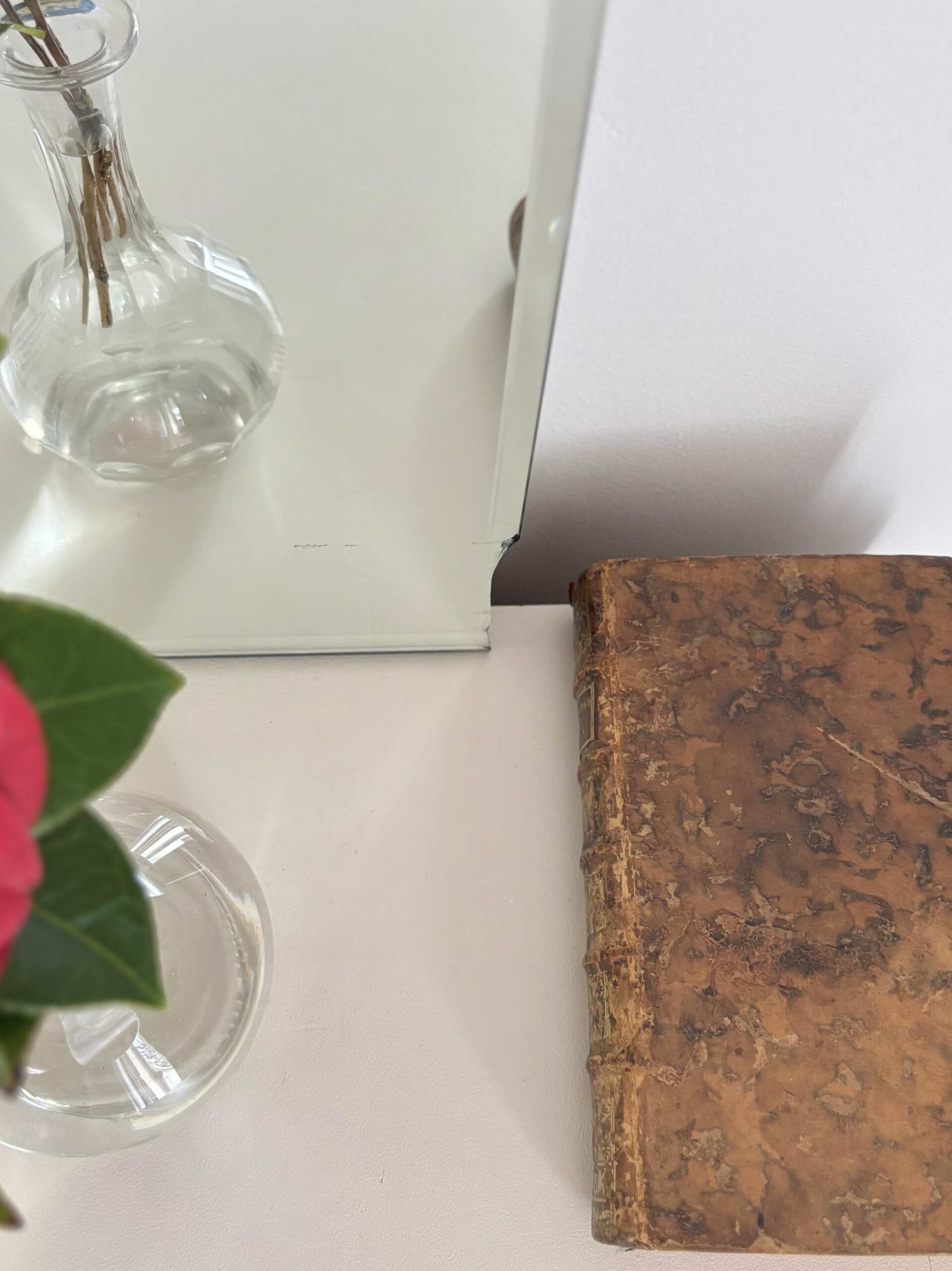 ADOPTÉ - Le miroir ciselé "Le camélia rouge" – Image 15