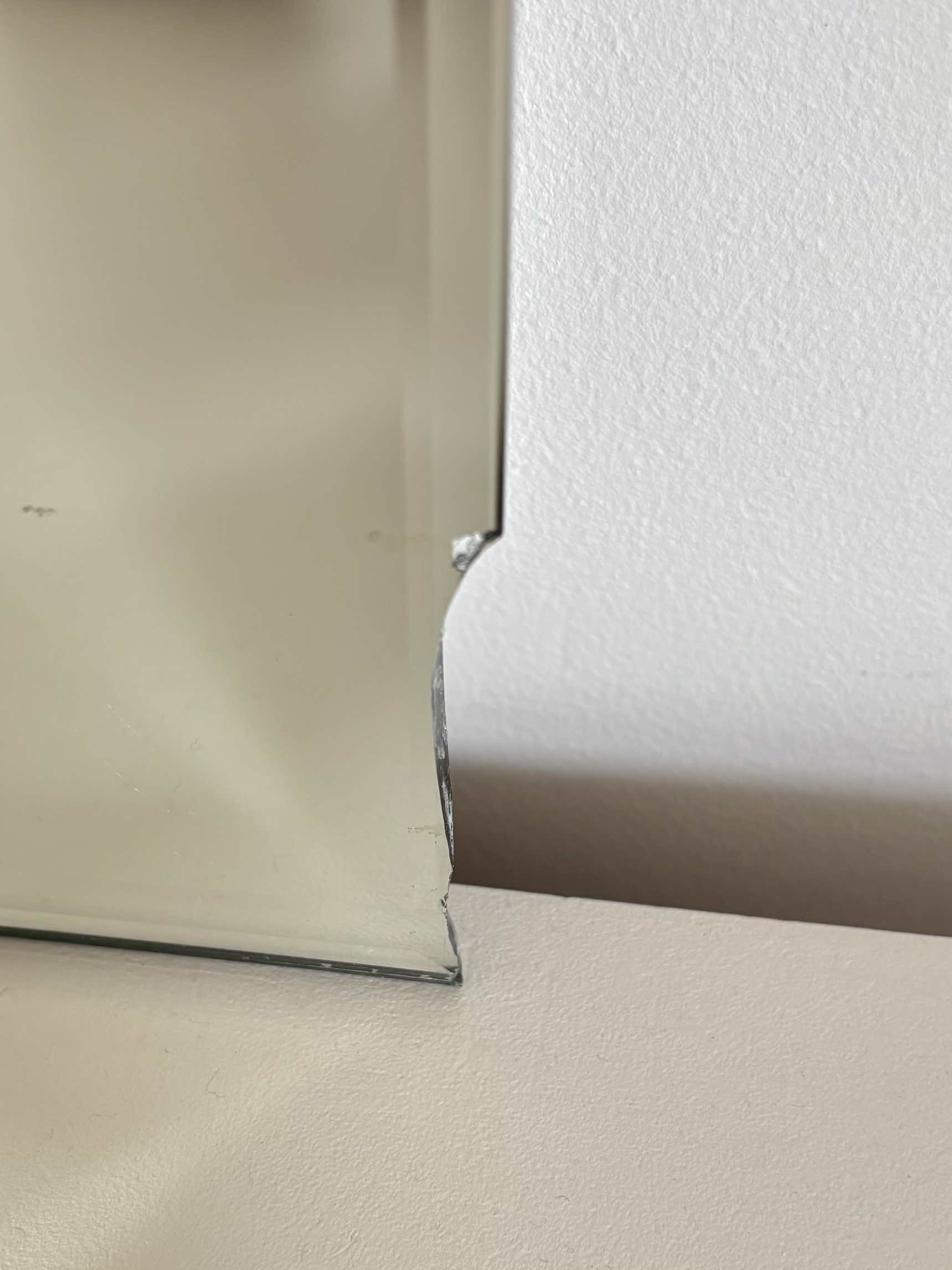 ADOPTÉ - Le miroir ciselé "Le camélia rouge" – Image 17