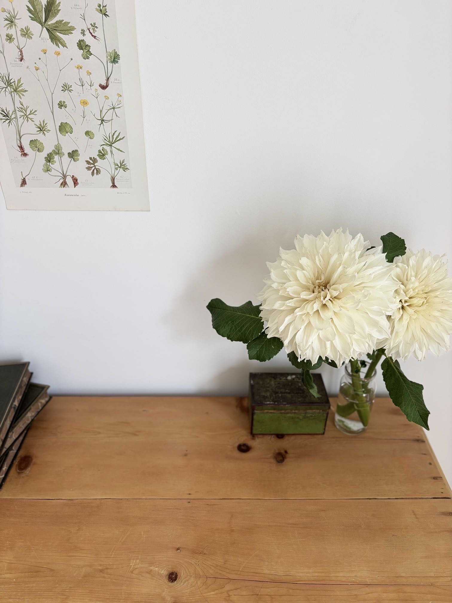 ADOPTÉE - La commode anglaise Sonnet 43 – Image 19